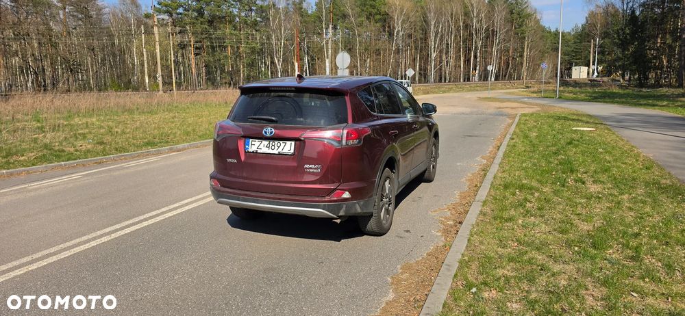 Toyota RAV4 Hybrid Premium 4x2 - 3