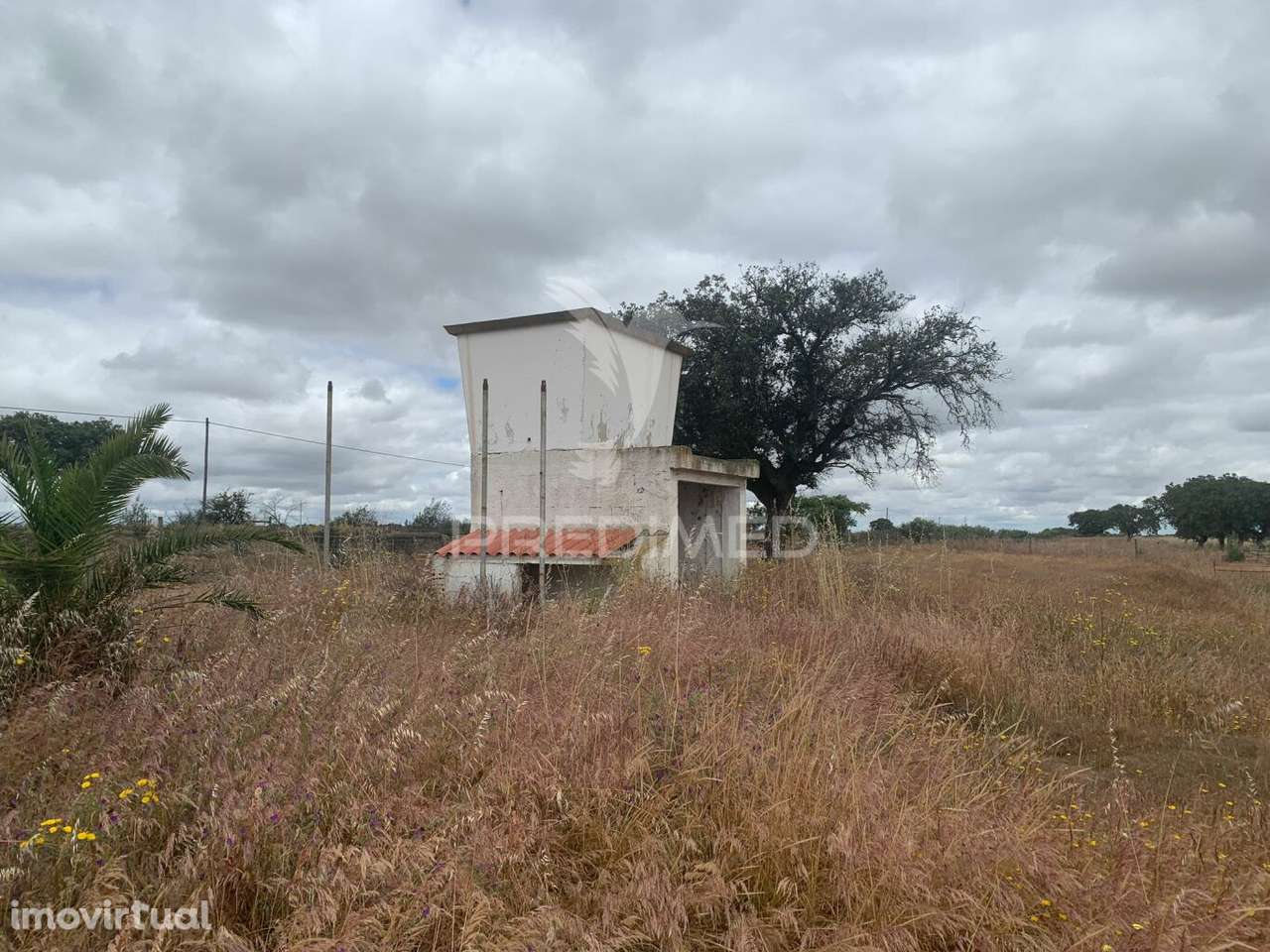 HERDADE ALENTEJANA 53 HECT (Vedada) - Grande imagem: 3/33