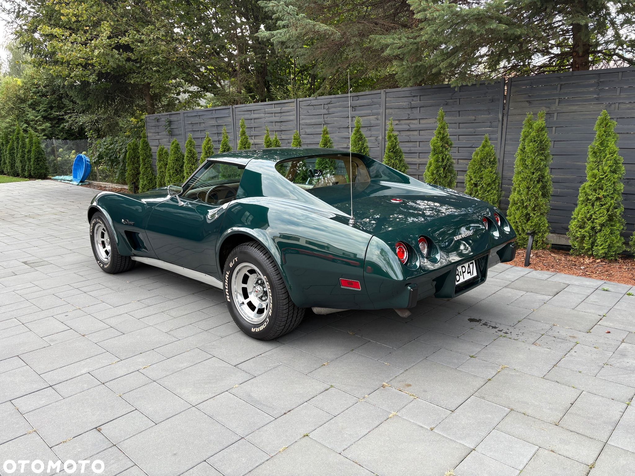 Chevrolet Corvette - 10