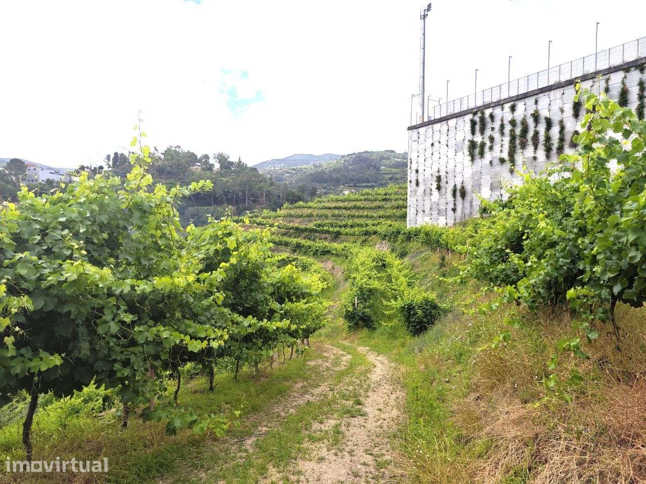 Quinta à venda em Resende, Viseu - Grande imagem: 5/17
