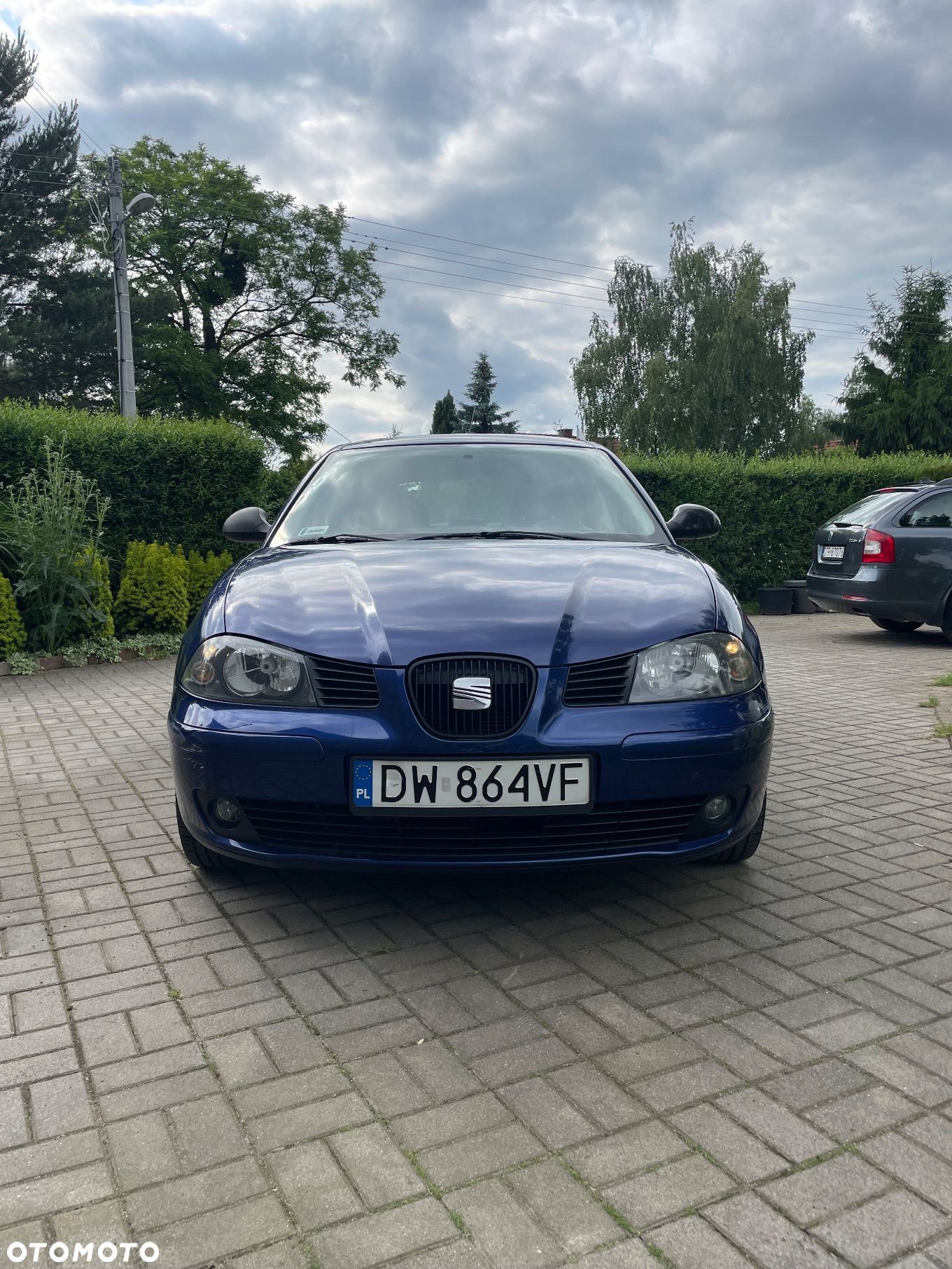 Seat Ibiza - 1