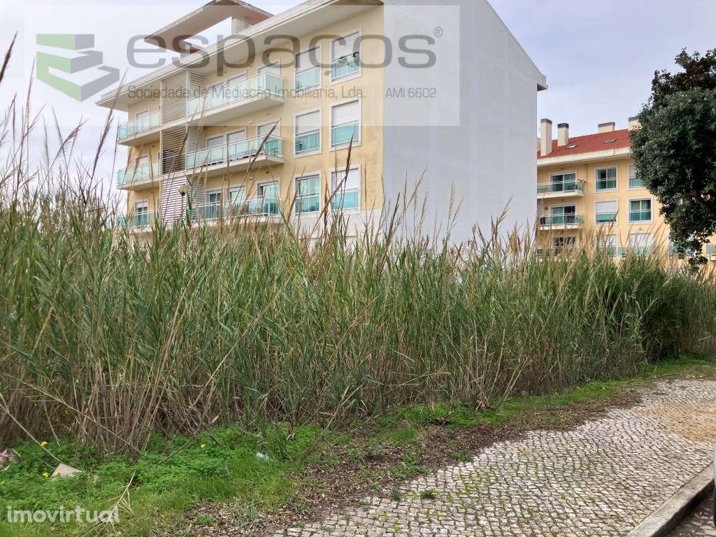 Terreno para construção de 18 fogos centro de Santa Cruz - Grande imagem: 3/8