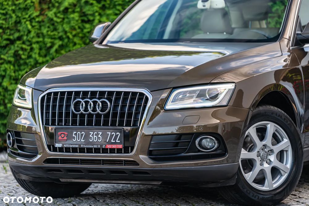 Audi Q5 - 5