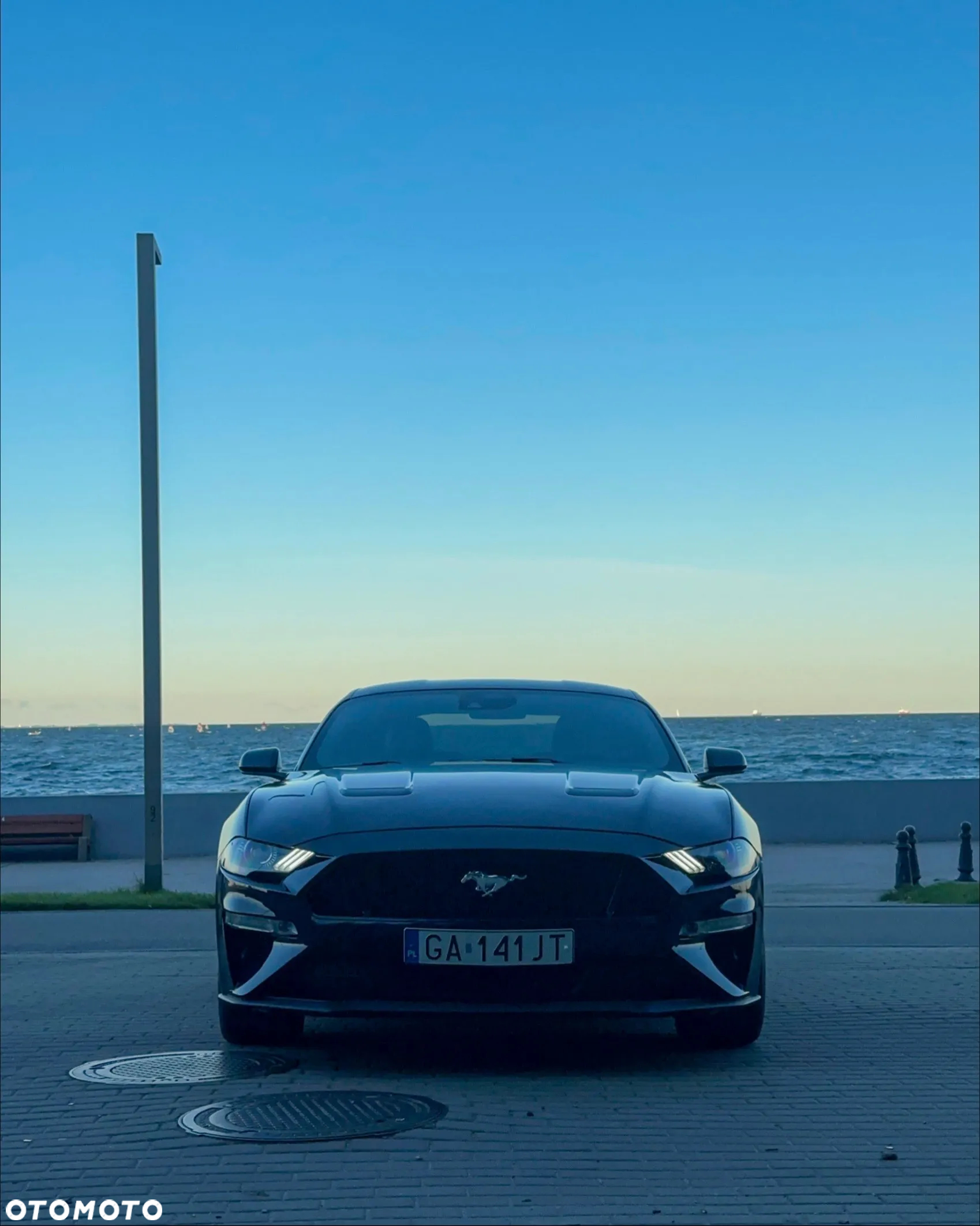 Ford Mustang Fastback 5.0 Ti-VCT V8 Dark Horse - 6