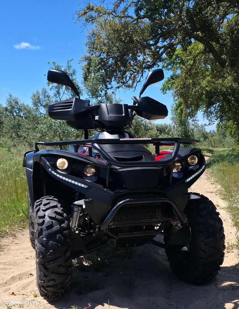 Linhai LH 300 4x4 - 2