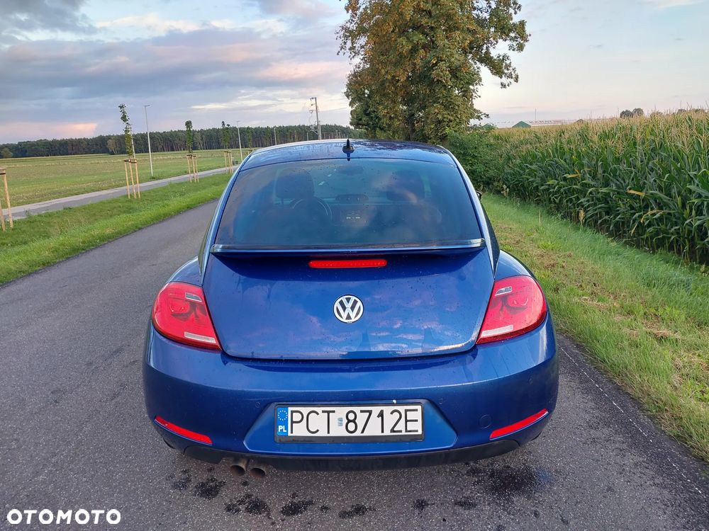 Volkswagen Beetle - 8