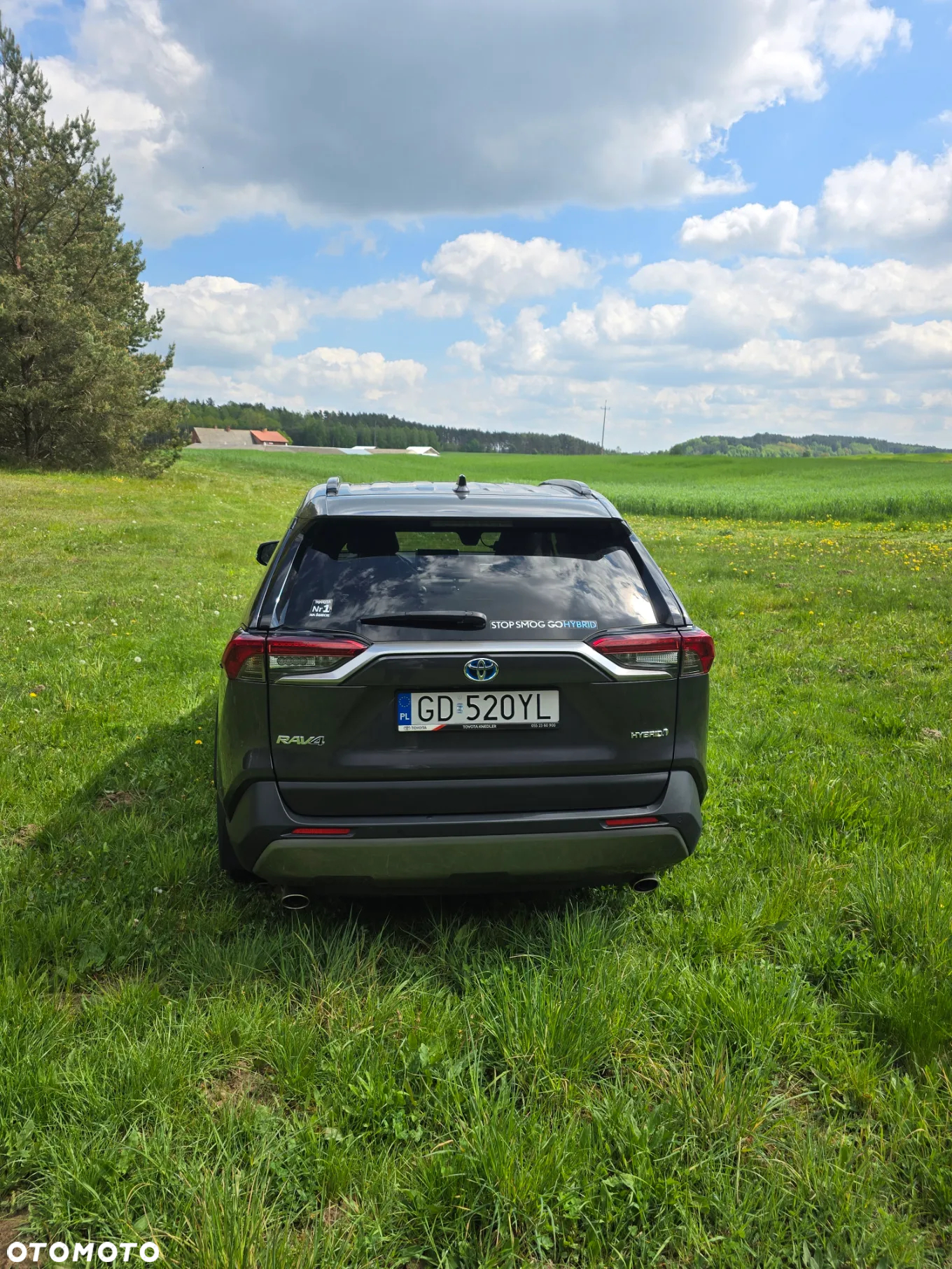 Toyota RAV4 2.5 Hybrid Executive 4x2 - 4