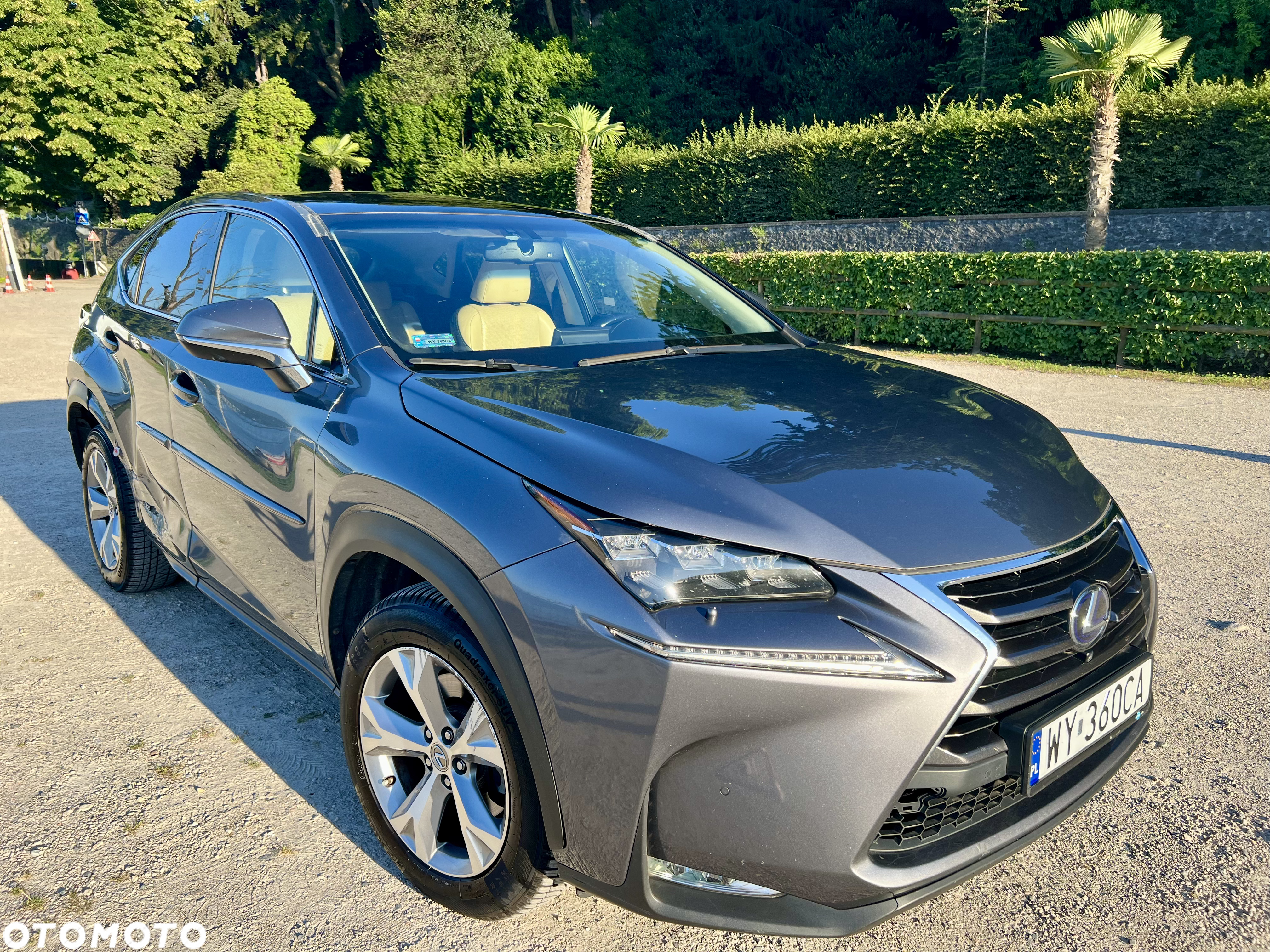 Lexus NX 300h Prestige AWD - 39