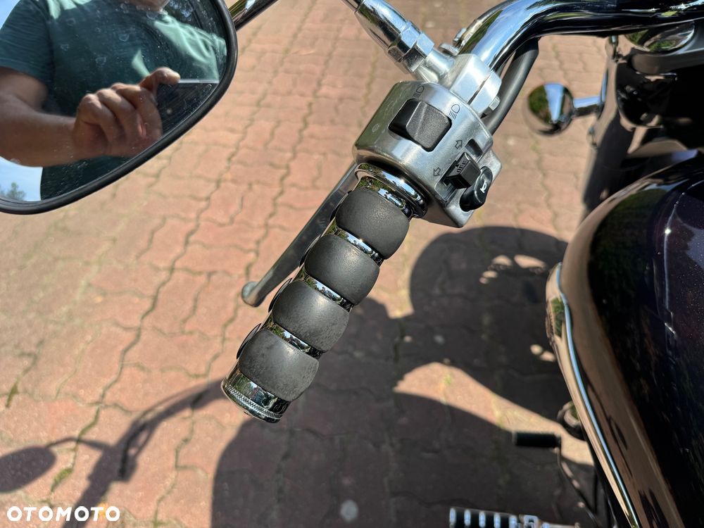Kawasaki Vulcan - 21
