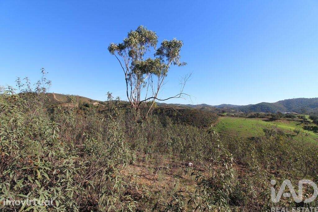 Casa de Campo T2 em São Bartolomeu de Messines de 80,00 m2 - Grande imagem: 5/19