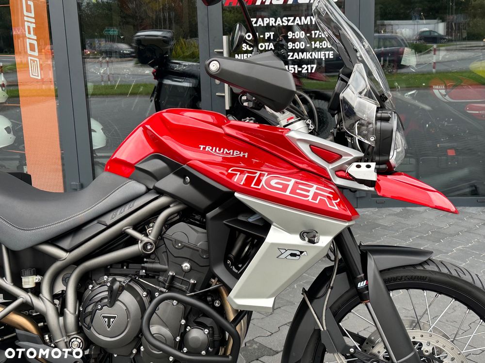 Triumph Tiger - 8