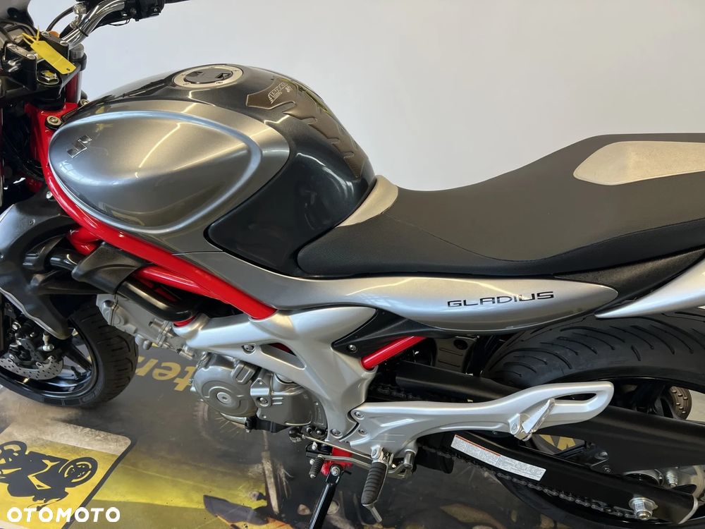 Suzuki Gladius - 12