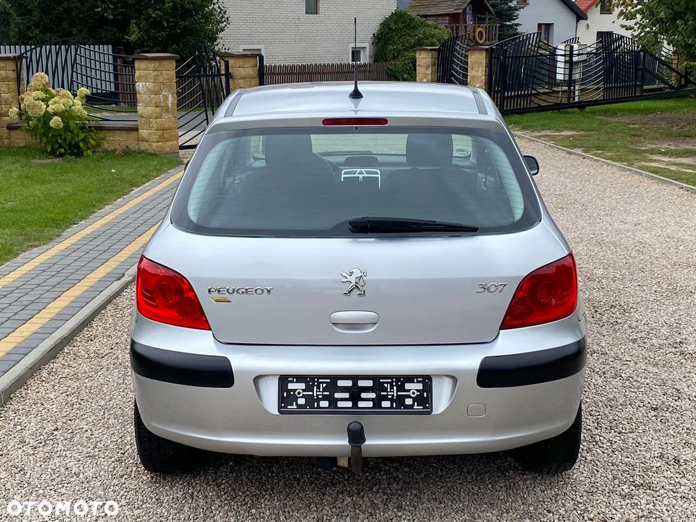 Peugeot 307 110 Tendance - 9