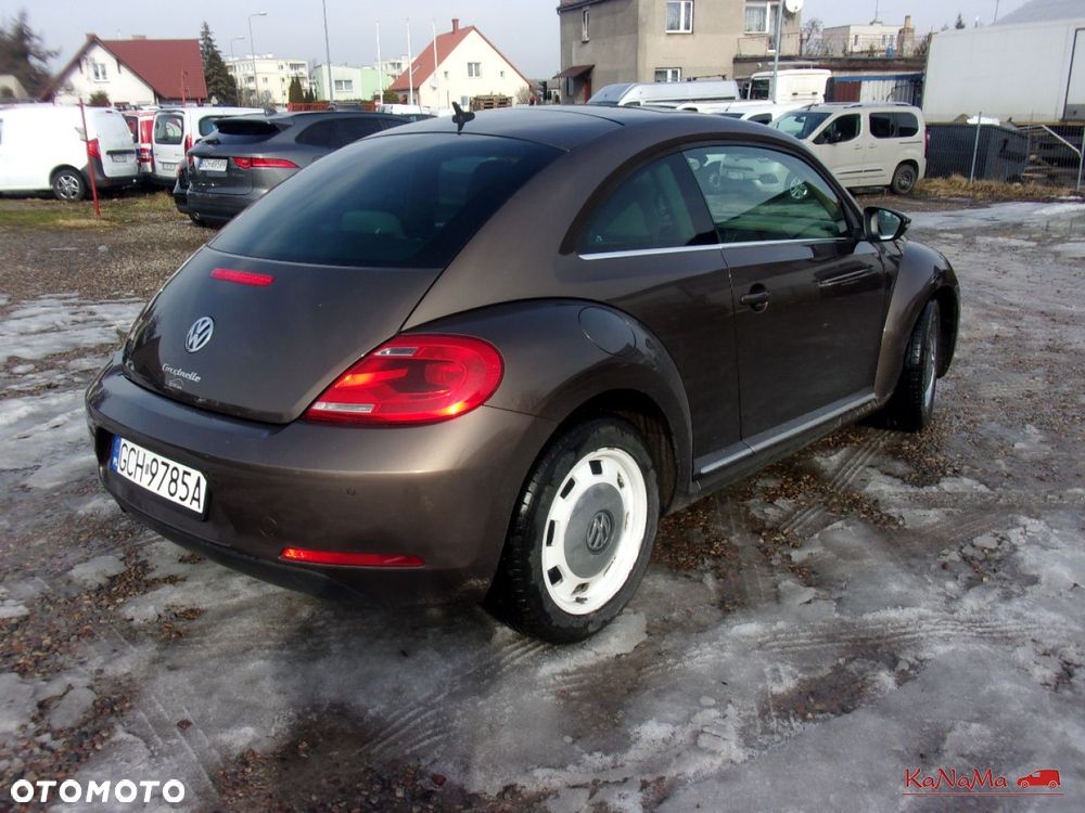 Volkswagen Beetle - 10