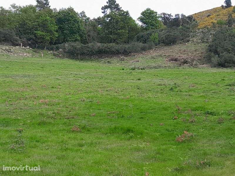 Quinta de 3 hectares em localização espectacular - Grande imagem: 5/8