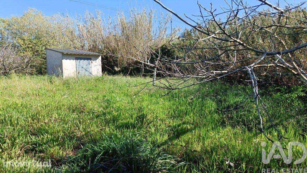 Terreno em Cela de 1585,00 m2 - Grande imagem: 4/22