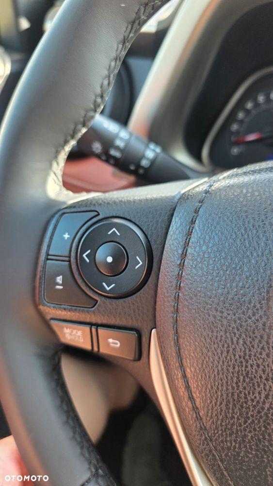 Toyota RAV4 2.0 Premium 4x4 MS - 22