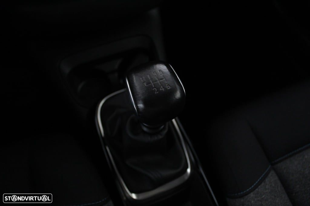 Citroën C4 Cactus 1.5 BlueHDi Shine - 31