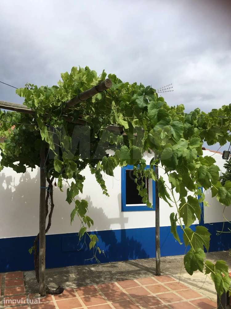 Quintinha com 4 Quartos e Jardim em Campo Redondo, Colos | Odemira - Grande imagem: 5/19