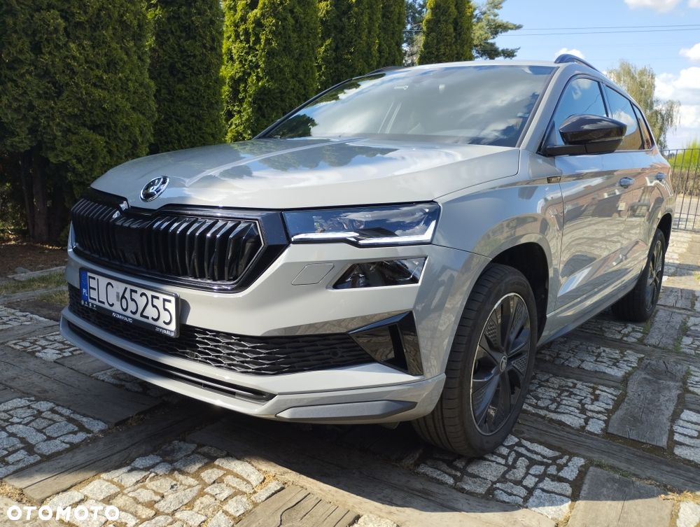 Skoda Karoq - 1