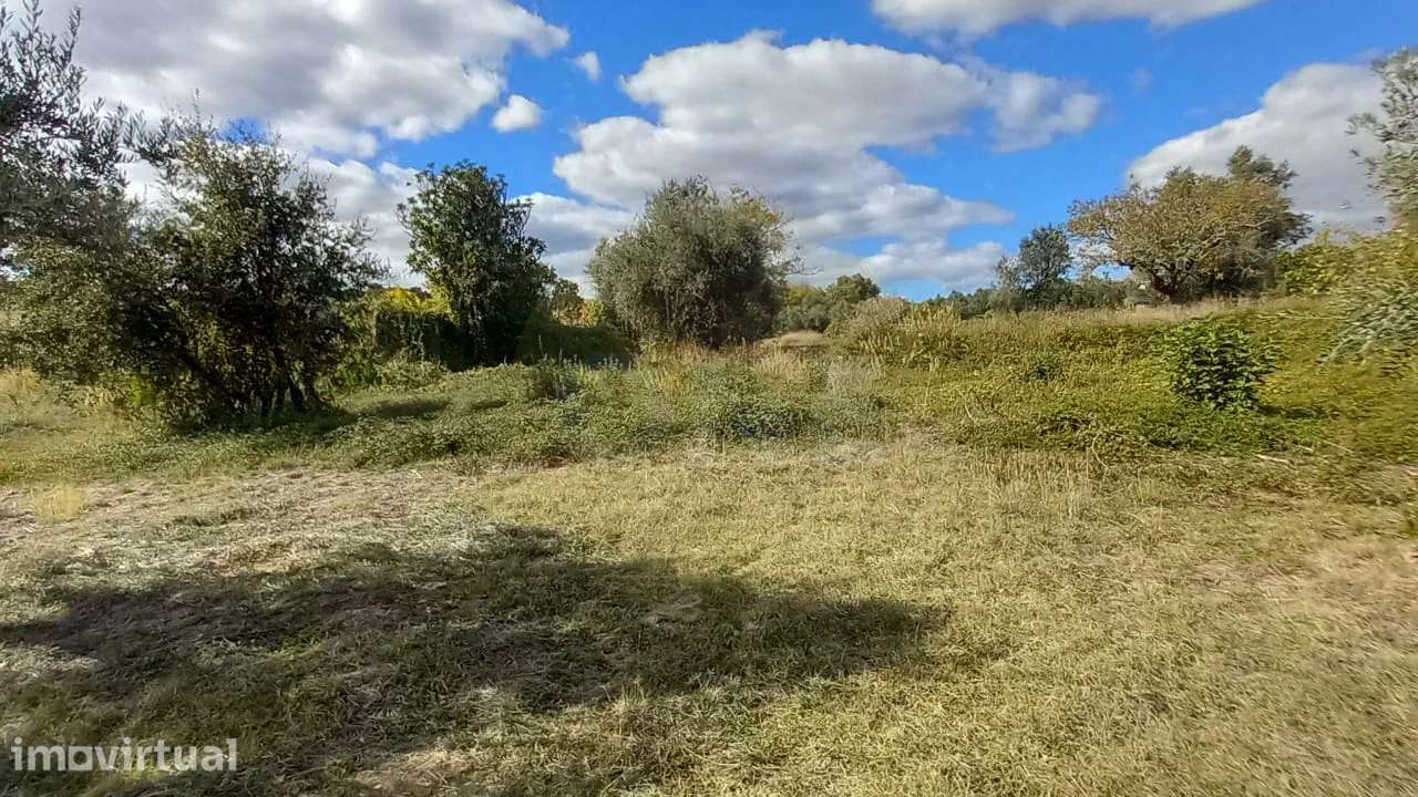 Terreno Rústico | + 1800 m2 | Lamarosa, Torres Novas - Grande imagem: 2/5