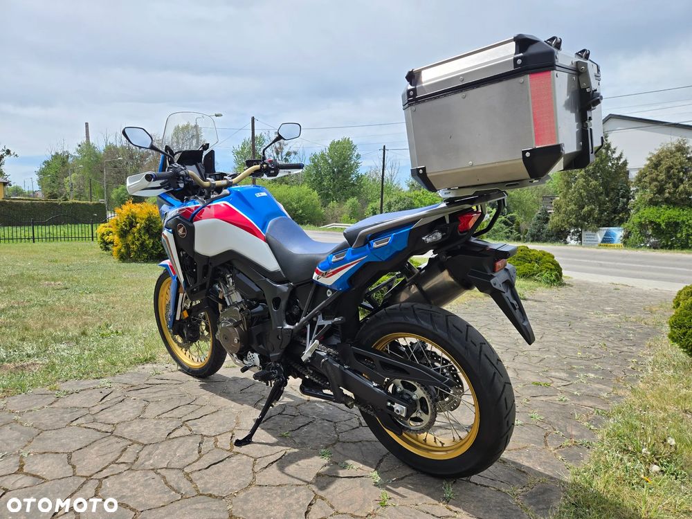 Honda CRF - 6