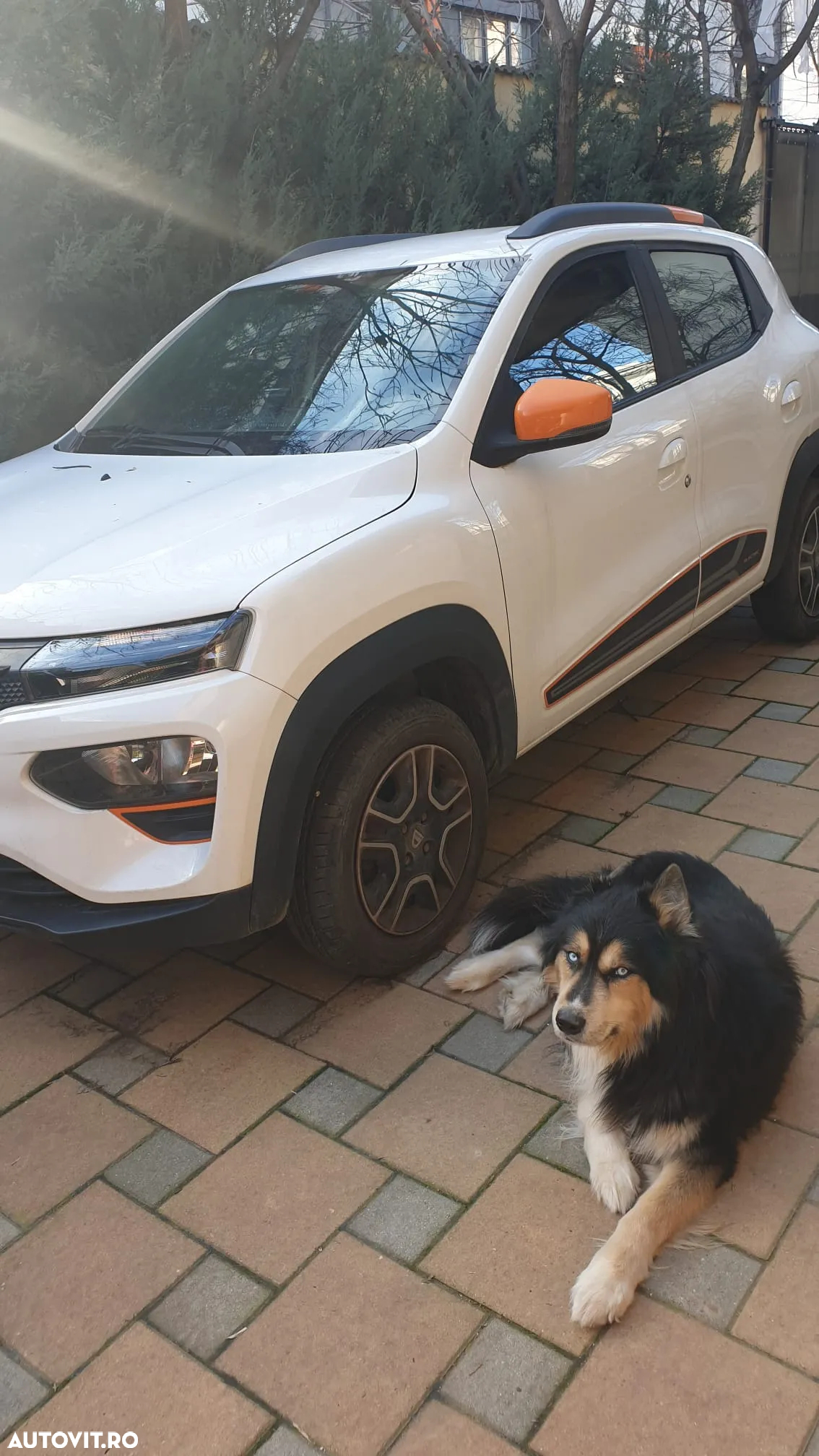 Dacia Spring Cargo Electric 45 (33kW) - 5