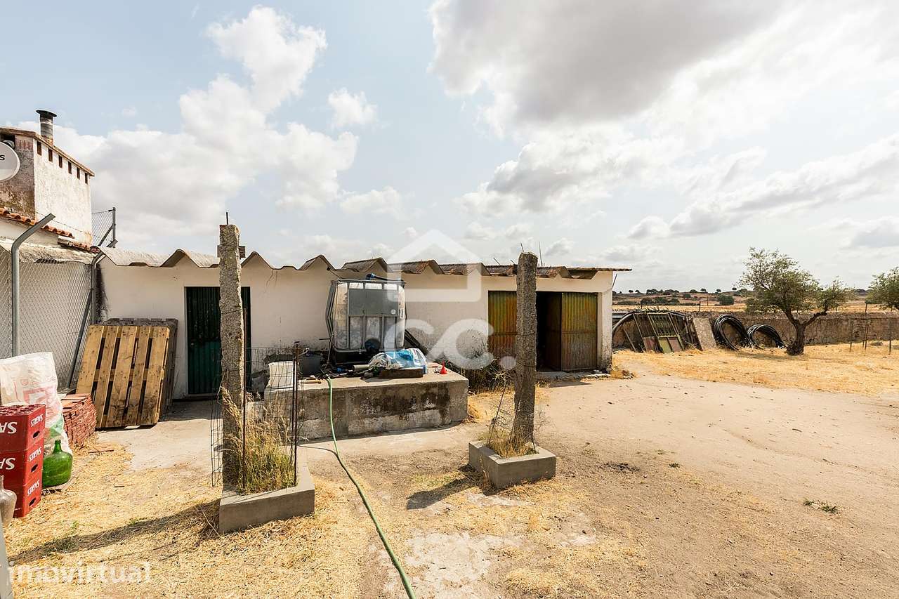 Terreno Rústico com Projeto de Moradia | Santa Eulália, Elvas - Grande imagem: 3/57