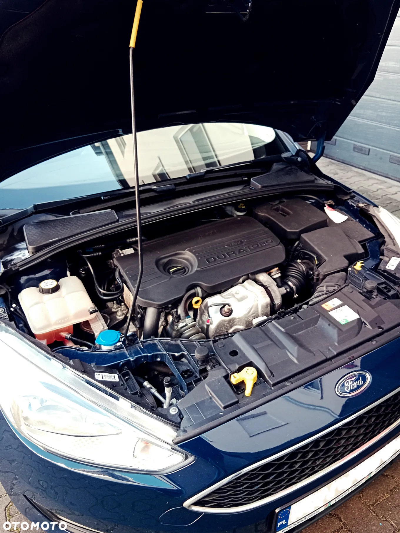 Ford Focus 1.5 EcoBlue Start-Stopp-System TITANIUM VIGNALE - 13