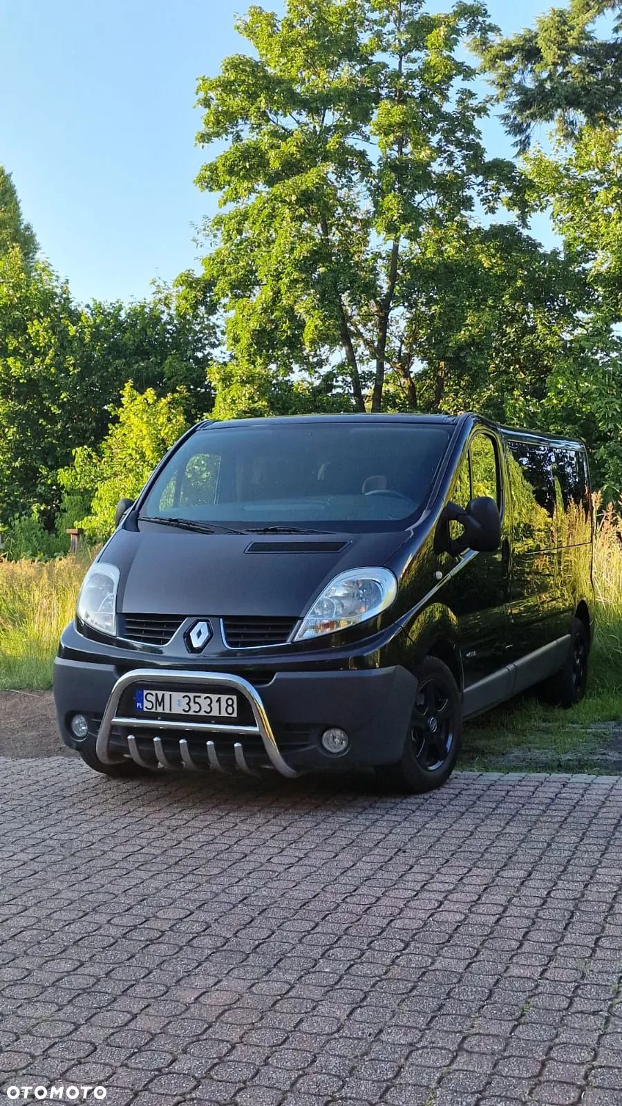 Renault Trafic - 1