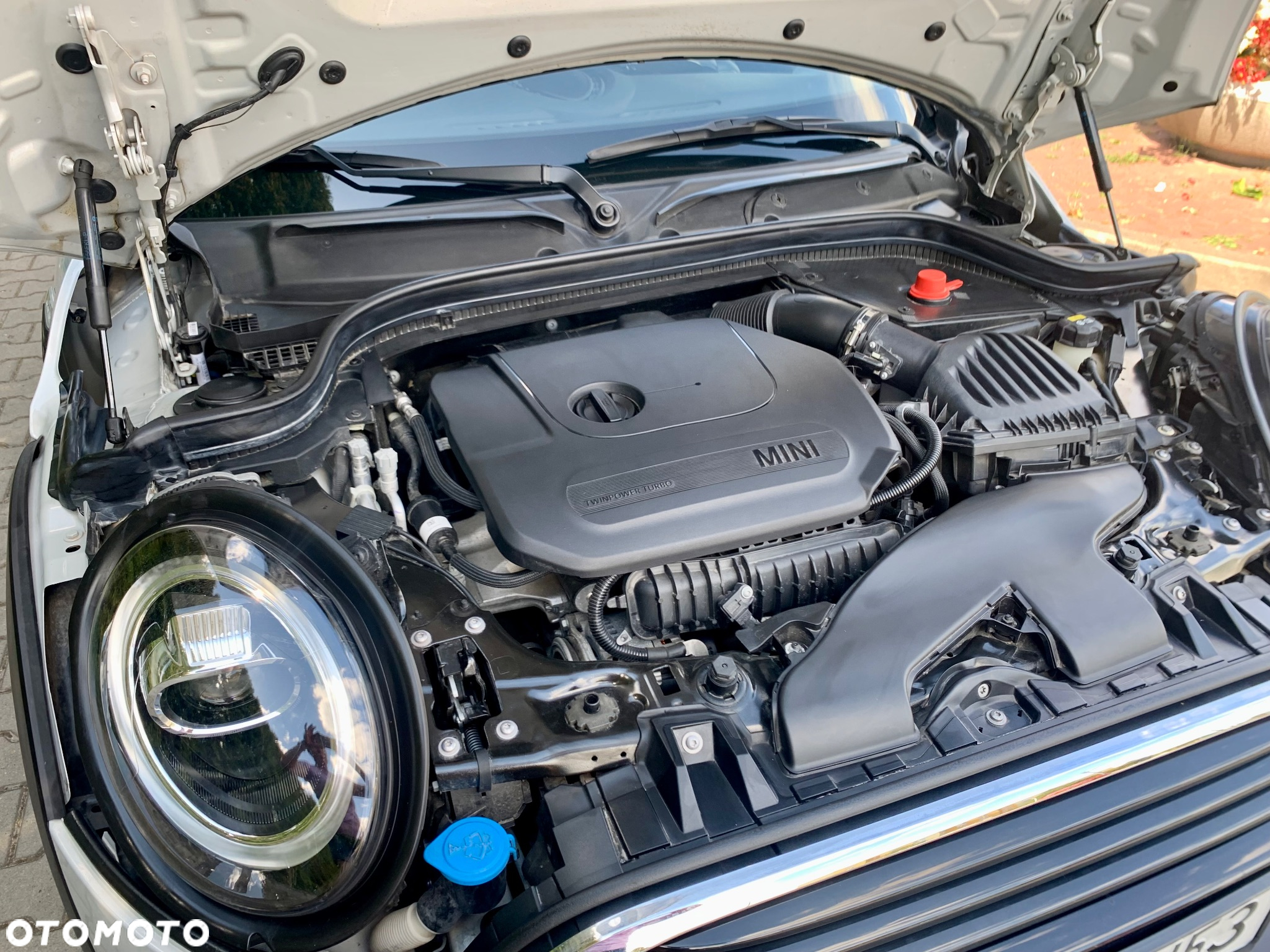 MINI Cooper Standard - 19