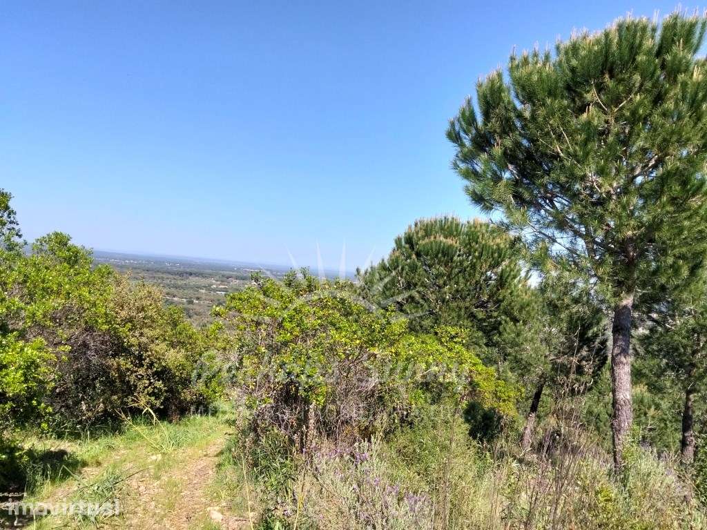 Terreno Serra de Grândola - Grande imagem: 2/12