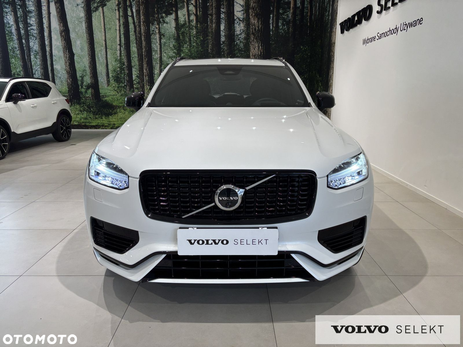 Volvo XC 90 - 10