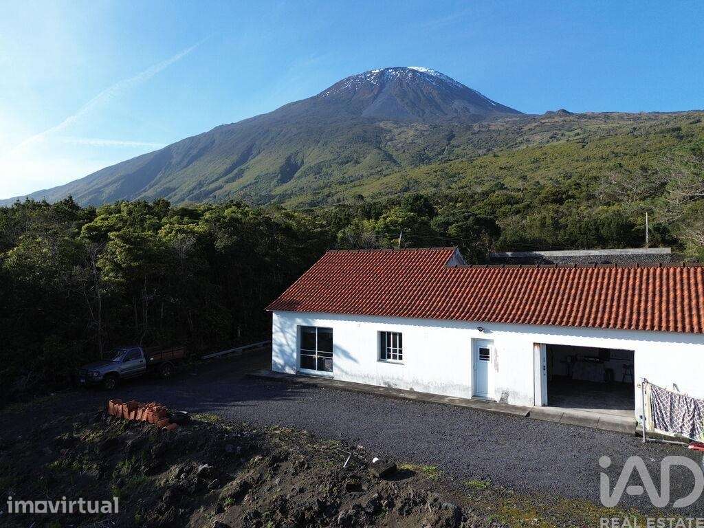 Casa / Villa T3 em São Caetano de 220,00 m2 - Grande imagem: 2/19