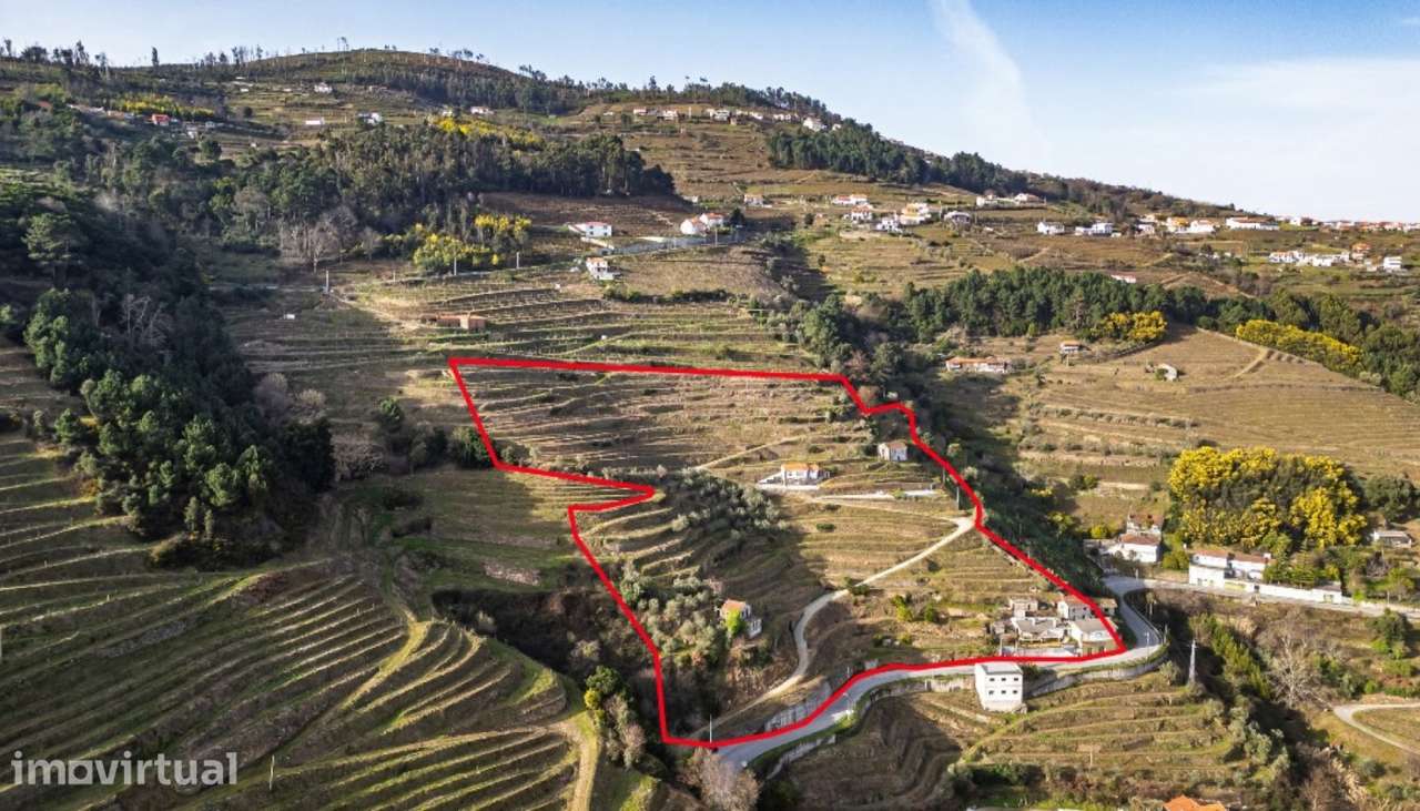 Quinta Vinicola em Vila Marim, Mesão Frio, Douro Valley - Grande imagem: 5/45
