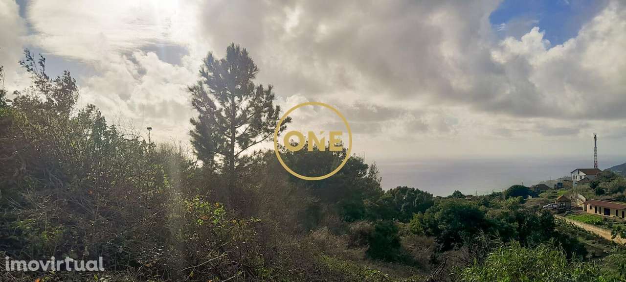 Terreno com 3707 m2 - Grande imagem: 4/11