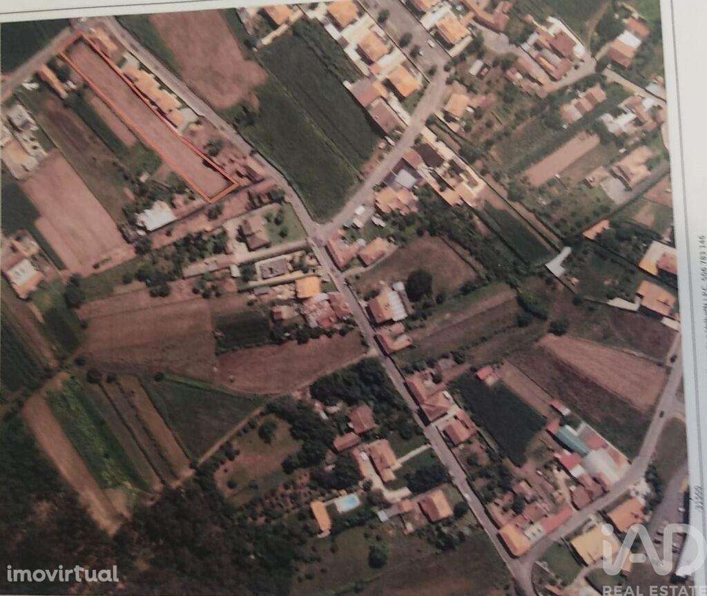 Terreno Agrícola em Albergaria-a-Velha e Valmaior - Grande imagem: 3/3