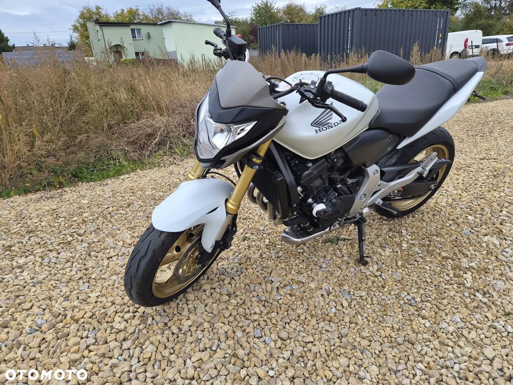 Honda Hornet