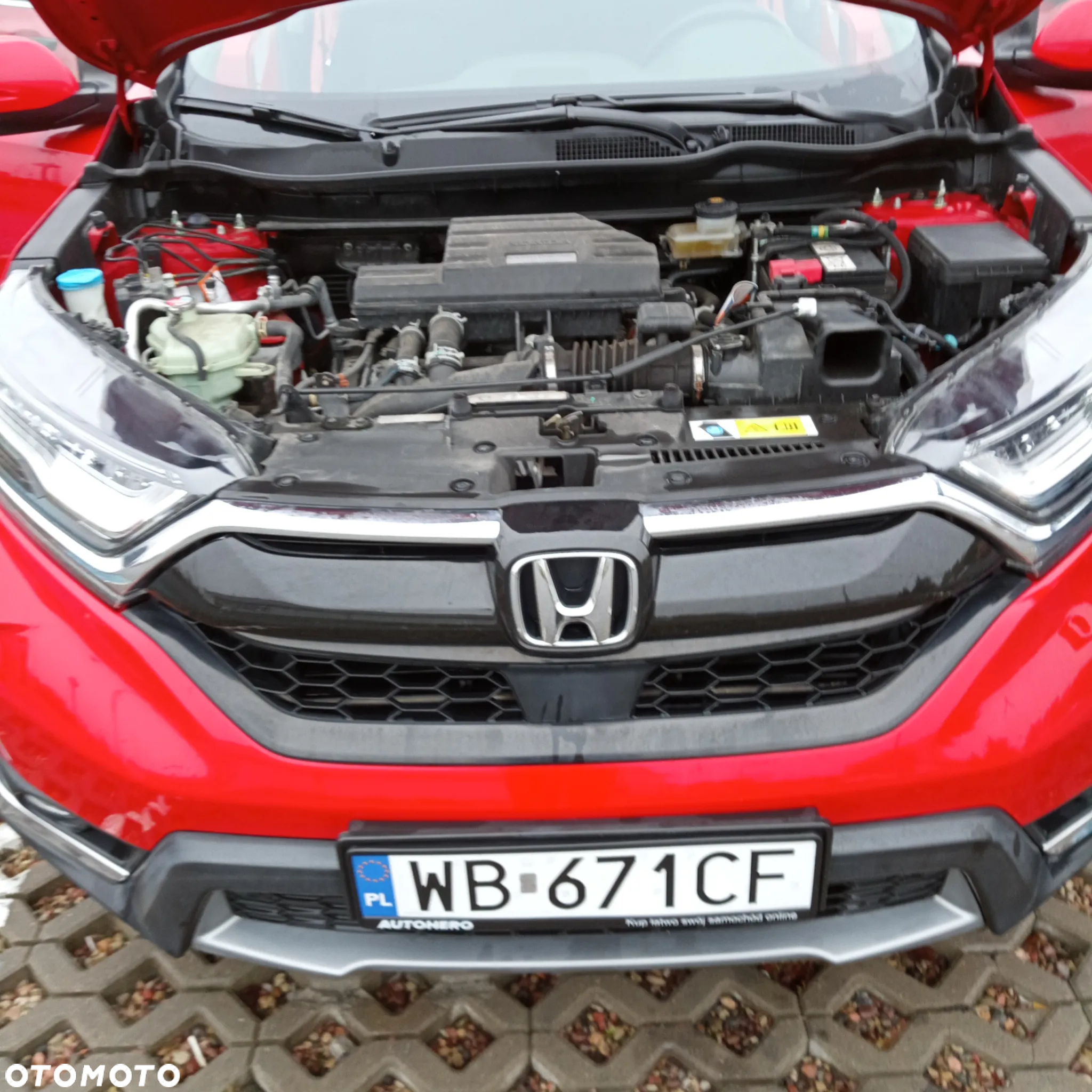 Honda CR-V 1.5 Elegance (2WD / Connect+) - 23