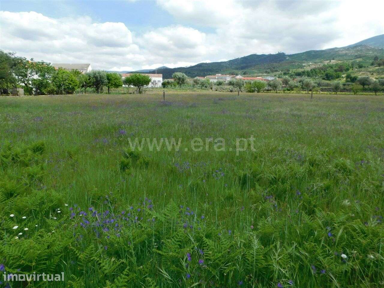 Terreno Urbano / Seia, Santa Marinha e São Martinho - Grande imagem: 4/6