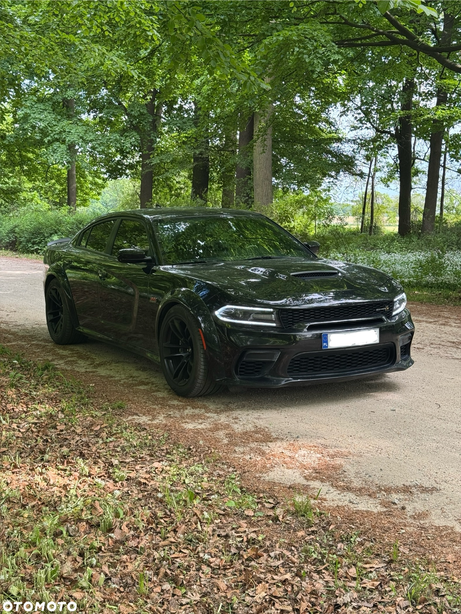 Dodge Charger 6.4 Scat Pack Widebody - 11