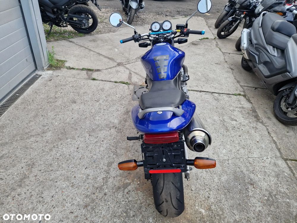 Honda Hornet - 8