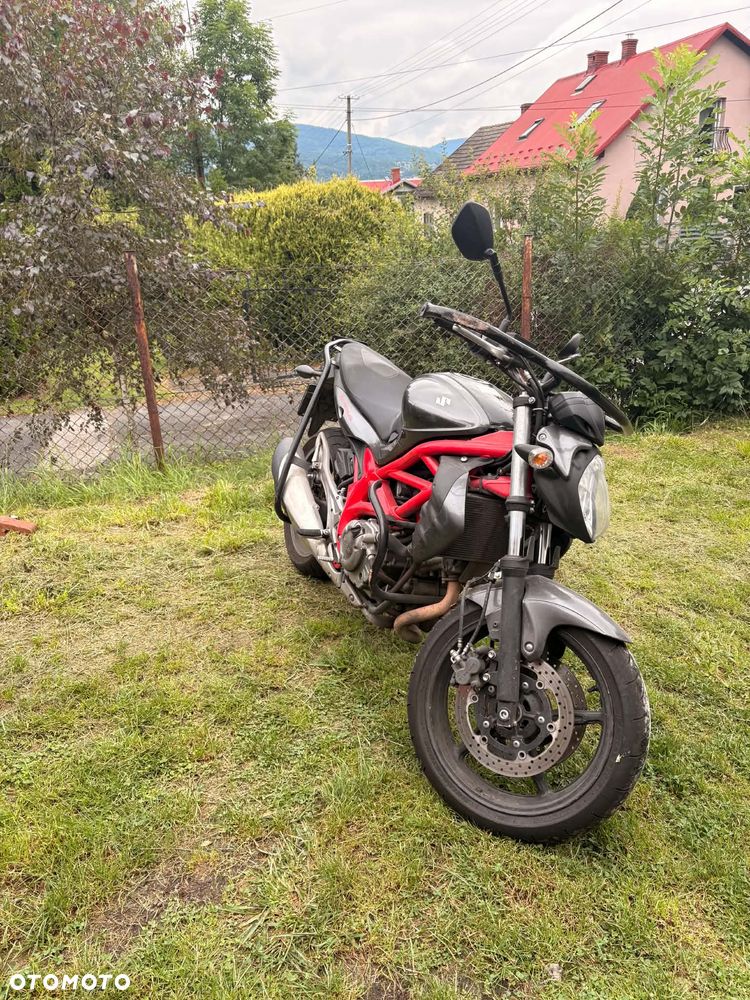 Suzuki Gladius - 2