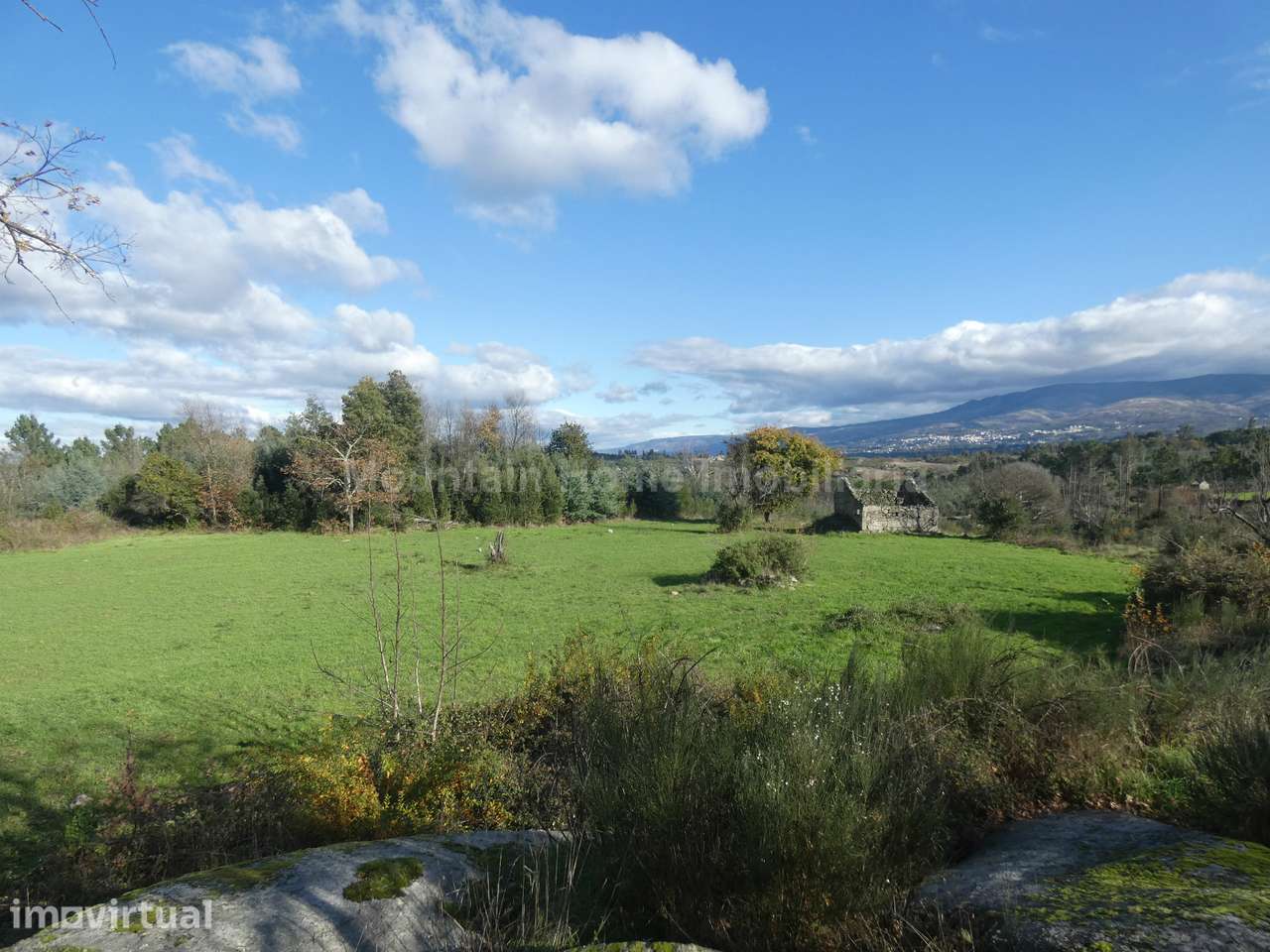 Quinta  Venda em Vila Nova de Tazem,Gouveia - Grande imagem: 2/9