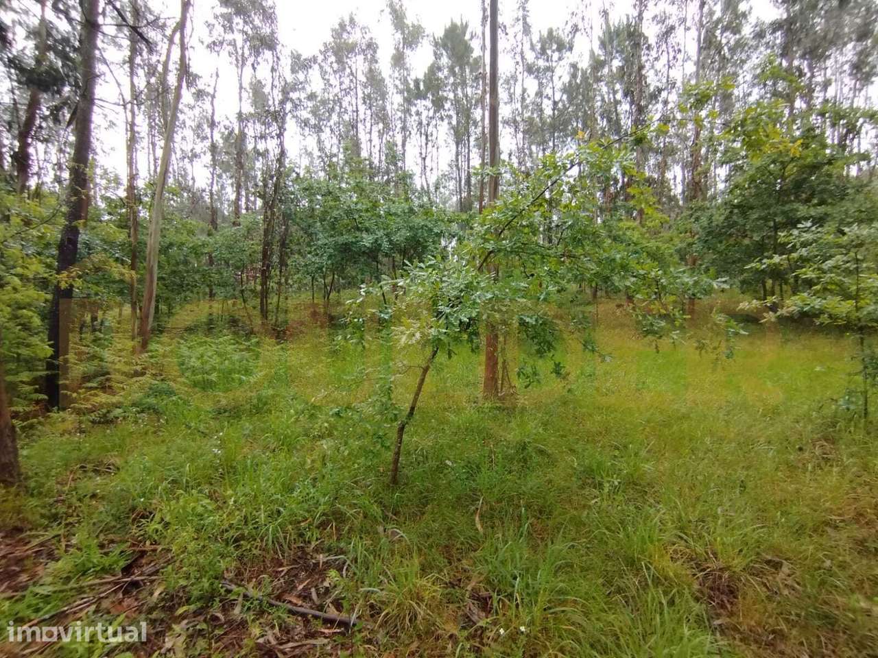 Terreno em Taíde - Grande imagem: 3/23