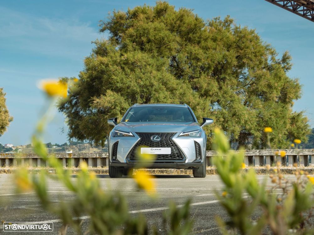 Lexus UX 250h Sport (Ecrã 12.3) - 16