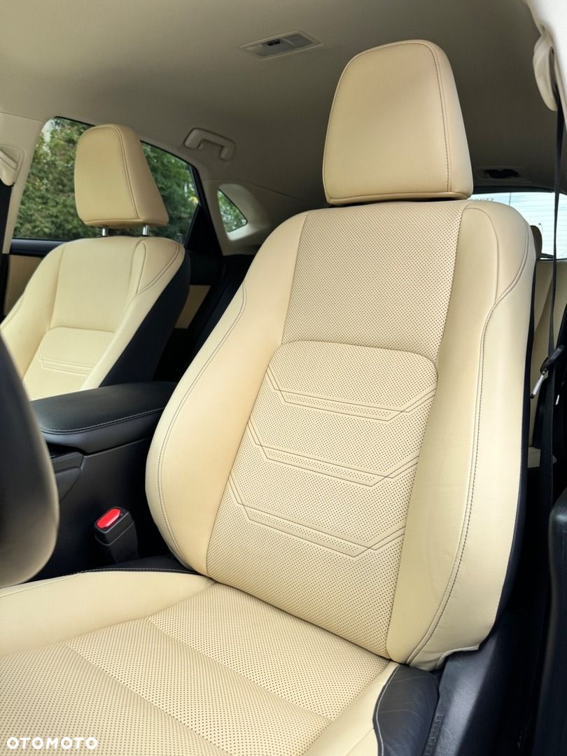 Lexus NX - 10