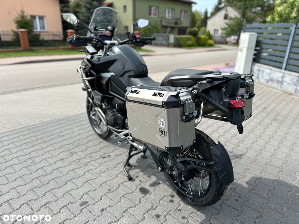 Triumph Tiger - 21