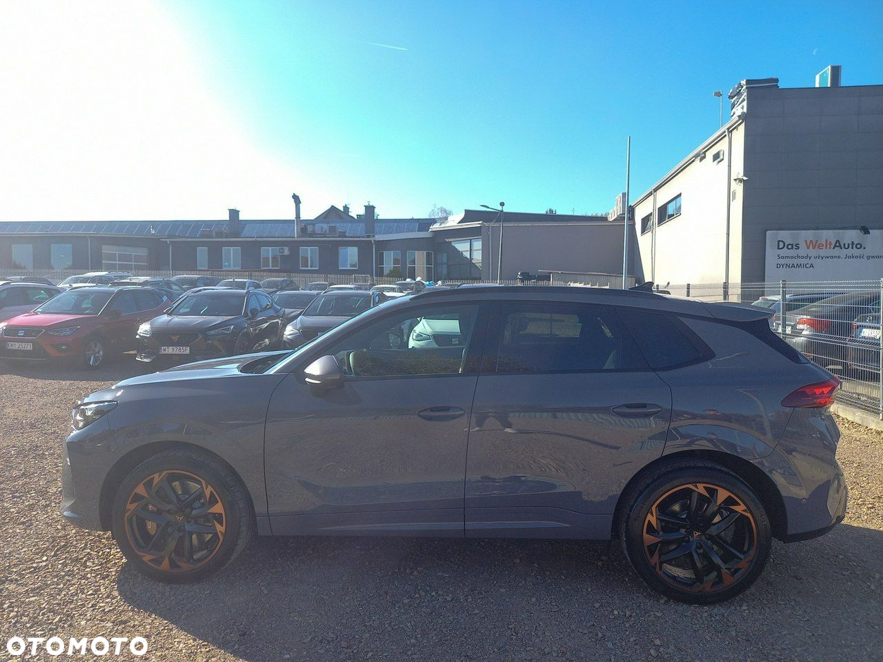 Cupra Terramar - 8