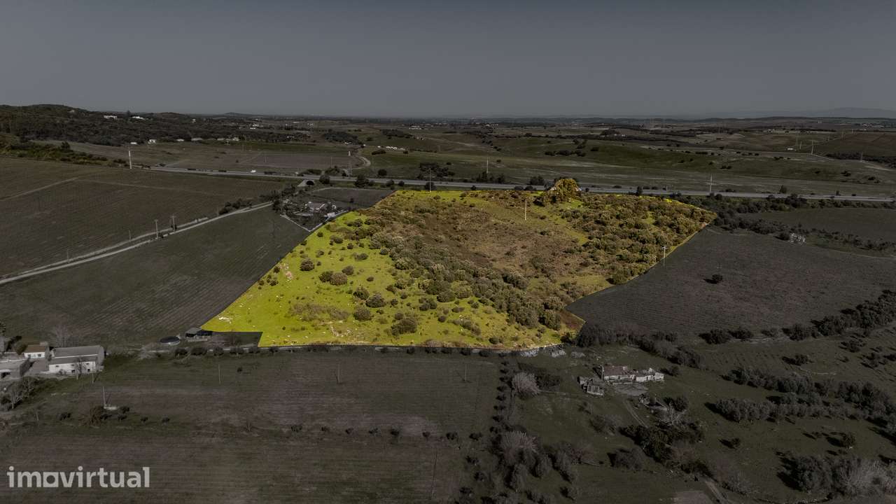 Quinta para Venda em Borba | com ruína de habitação e anexo | Alentejo - Grande imagem: 2/10